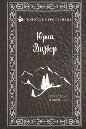Обложка: Здравствуй, я вернулся