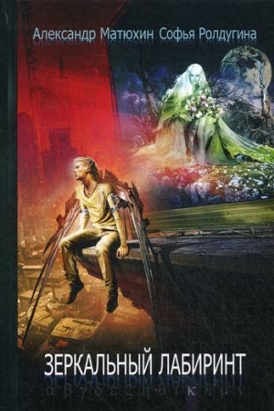 Cover: Zerkal′nyj labirint: rasskazy