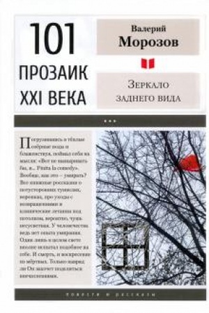 Buchcover: Zerkalo zadnego vida.