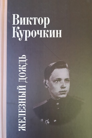 Обложка: Железный дождь
