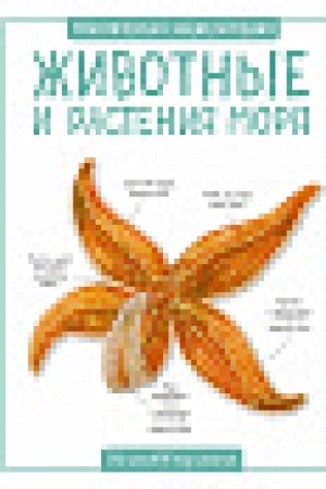 Cover: ZHivotnye i rasteniya morya