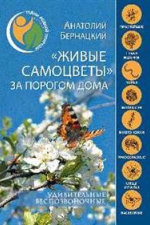 Обложка: ЖИВЫЕ САМОЦВЕТЫ ЗА ПОРОГОМ ДОМА. УДИВИТЕЛЬНЫЕ БЕСПОЗВОНОЧНЫЕ