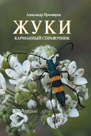 Buchcover: Žuki