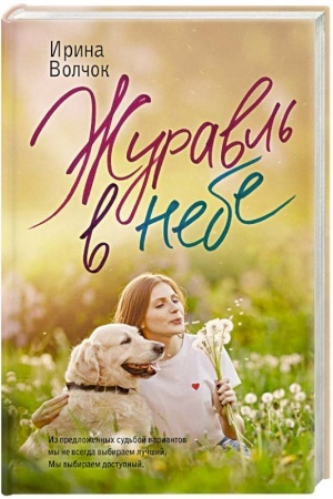 Cover: ZHuravl′ v nebe
