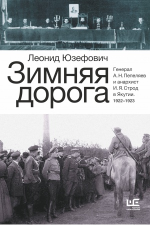 Cover: Zimnyaya doroga