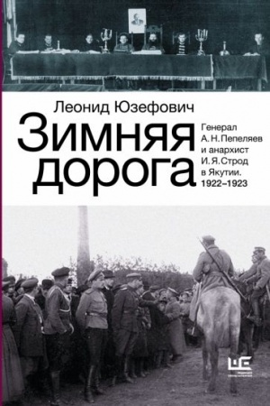 Cover: Zimnyaya doroga