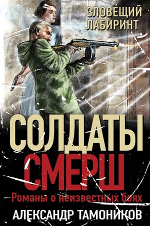 Buchcover: Zlovečšij labirint