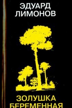 Buchcover: Zoluška beremennaja (sbornik)