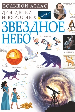Cover: Zvezdnoe nebo