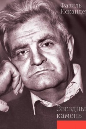 Buchcover: Zvezdnyj kamen&prime;